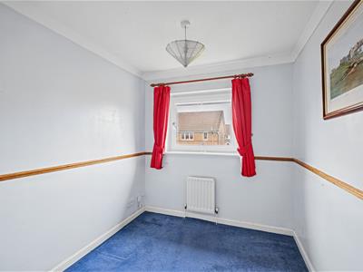 Picture 20